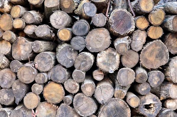Firewood stacked up in a pile — Stock Photo, Image