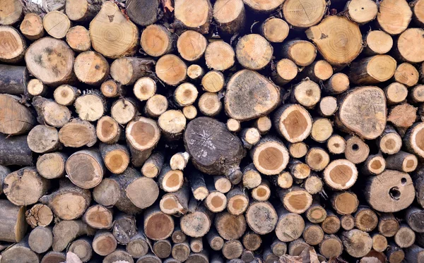 Firewood stacked up in a pile — Stock Photo, Image