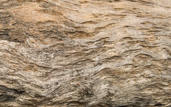 Textura de madera para fondo —  Fotos de Stock