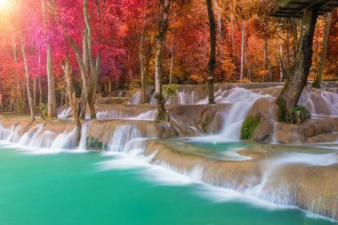Luang Prabang 'da Tad Sae Şelaleleri, Laos. Yağmur ormanlarında şelale.