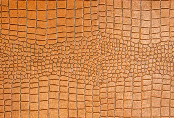 Textura Pele Crocodilo Para Fundo Design — Fotografia de Stock