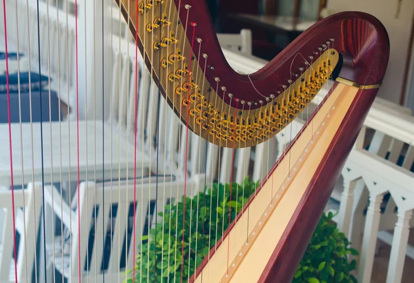 Harfe Musikinstrument im Restaurant — Stockfoto