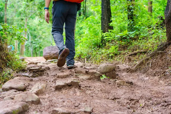 Hiking Tourists Wearing Backpacks Outdoors Trekking Forest Hiker Man Shoe — Stock Photo, Image