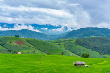 Pong Pieng Chiang Mai, Tayland 'daki köyün üzerinde yüzen sisli pirinç tarlaları.