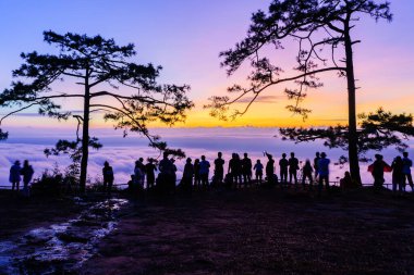 Yürüyüşçünün ya da gezginin güzel silueti Nok Aen Cliff, Phu of Kradueng Milli Parkı, Loei, Tayland 'da sisin ve güneşin doğuşunun keyfini çıkar..