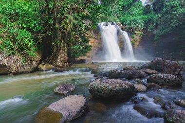 Ormanda güneş ışığıyla güzel bir şelale, Khao yai Nakhonratchasima vilayetinde Haew Suwat Şelalesi.