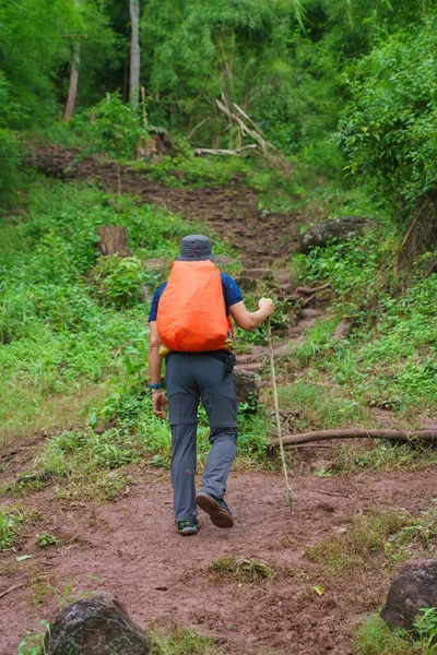 Hike Trail Hiker Man Walking Autumn Fall Nature Woods Fall — Stock Photo, Image