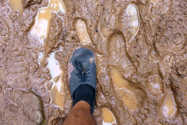 从上面看一双穿着泥巴的远足鞋 一双穿着泥巴的远足靴 — 图库照片