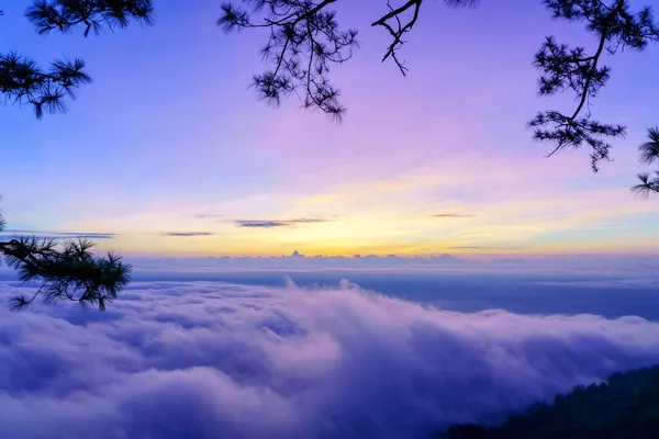 Niebla Amanecer Parque Nacional Phu Kradueng Provincia Loei Tailandia —  Fotos de Stock