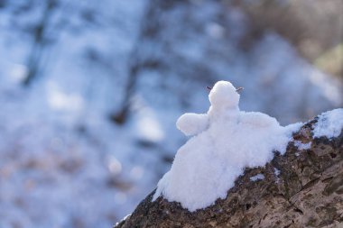 kış günü kar yapma kardan adam heykeli.