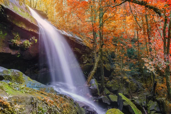 Cascata Parco Nazionale Phu Kradueng Loei Thailandia Bellissimo Paesaggio Cascate — Foto Stock