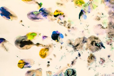 Beyaz arkaplana suluboya damlatın. Arkaplan için soyut renk.