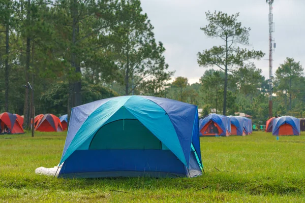 Tenda Turística Acampamento Entre Prado Phu Kradueng Tailândia — Fotografia de Stock