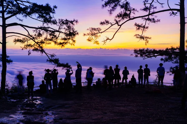 Yürüyüşçünün ya da gezginin güzel silueti Nok Aen Cliff, Phu of Kradueng Milli Parkı, Loei, Tayland 'da sisin ve güneşin doğuşunun keyfini çıkar..