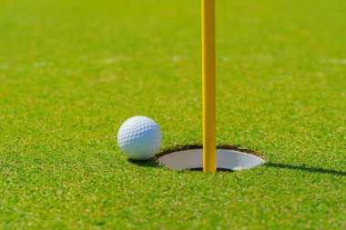 Golf sahasında fincan dudak üzerinde Golf topu.