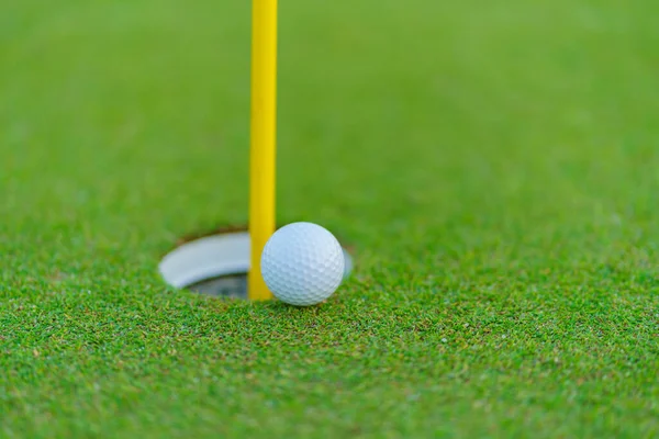Golfboll Läpp Kopp Golfbana — Stockfoto