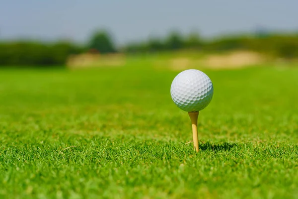 Golfboll Tee Redo Att Skjutas Golfcourt — Stockfoto