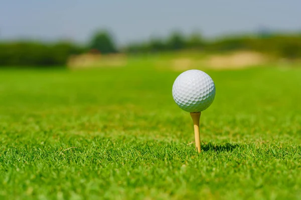 Bola Golfe Tee Pronto Para Ser Disparado Golfcourt — Fotografia de Stock