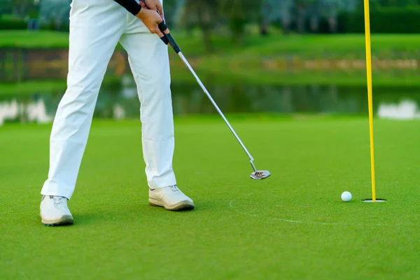 Golfer preparing for a putt Golf ball on the green during golfcourse.