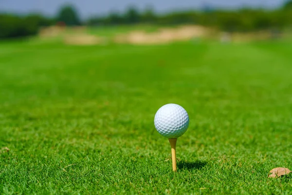 Bola Golfe Tee Pronto Para Ser Disparado Golfcourt — Fotografia de Stock