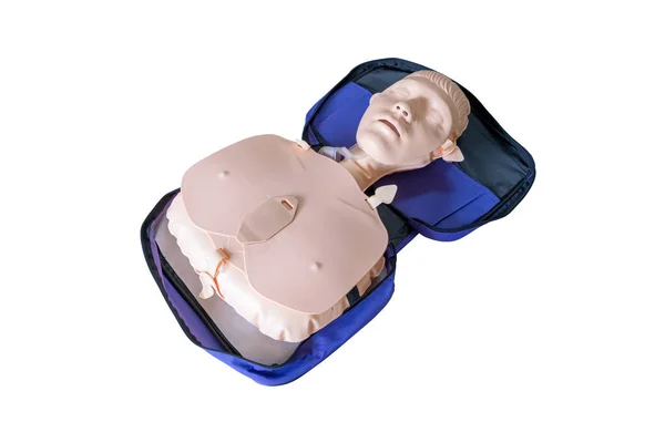 Model Dummy Cpr Training Medical Class Isolate White Background — Stock Photo, Image