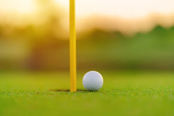 Palla Golf Sul Labbro Della Coppa Campo Golf — Foto Stock