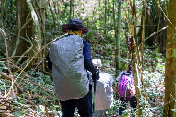 Hiking Tourists Wearing Backpacks Outdoors Trekking Forest Hike Trail — Stock Photo, Image