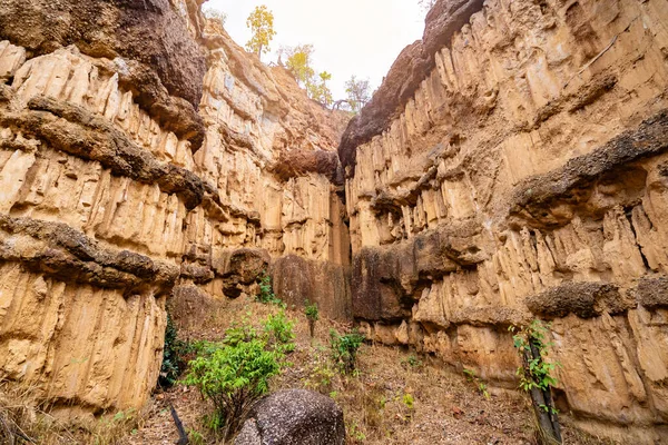 Pha Chor Oder Phachor Doi Park Ist Der Größte Uralte — Stockfoto