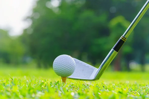 Golf Ball Green Grass Ready Struck Golf Course — Stockfoto