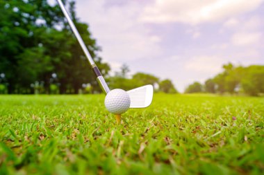 Golf topu yeşil çimlerde Golf sahasında vurmaya hazır.