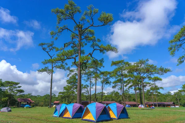 Туристическая Палатка Лагере Среди Лугов Крадуэн Таиланд — стоковое фото