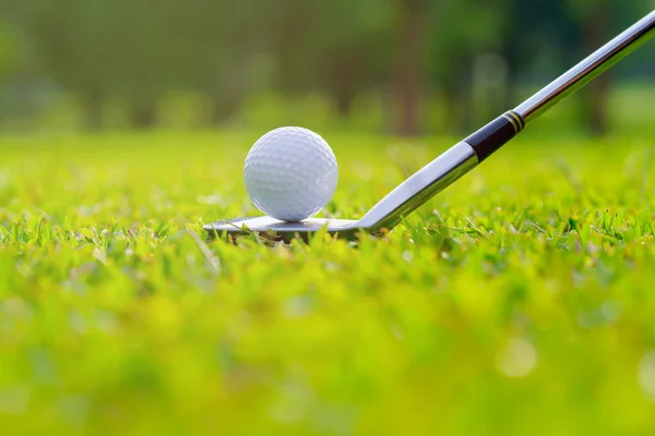 Golf Topu Yeşil Çimlerde Golf Sahasında Vurmaya Hazır — Stok fotoğraf