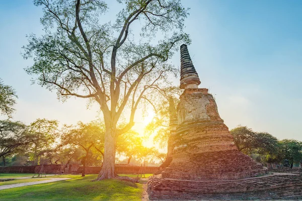 Ancient Temple Ayutthaya Thailand Temple Site Old Royal Palace Ancient — Stock Photo, Image