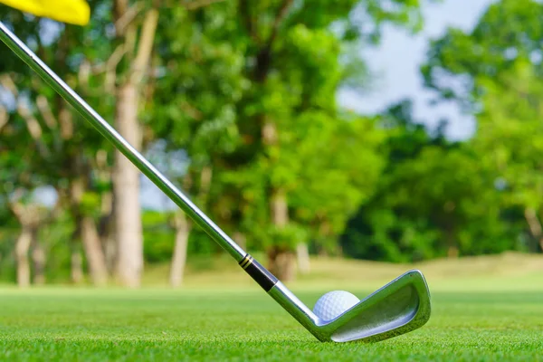 Golf topu yeşil çimlerde Golf sahasında vurmaya hazır.