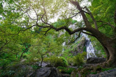 Khlong Lan Şelalesi Tayland yağmur ormanlarında çok güzel bir şelaledir..