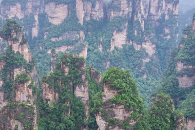 Zhangjiajie national forest park wulingyuan hunan, Çin.