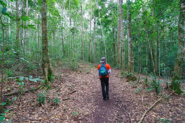 Reiziger Wandelen Genieten Bergen Met Rugzak Khao Chang Puak Berg — Stockfoto