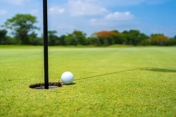 Golfista Putt Bola Golfe Buraco Verde Campo Golfe — Fotografia de Stock