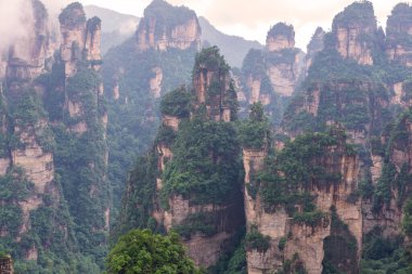 Zhangjiajie national forest park wulingyuan hunan, Çin.