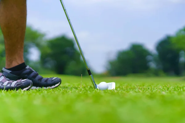 ゴルフ場で緑の上に穴にゴルフボールを入れてゴルファー — ストック写真