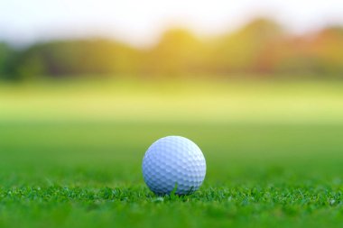 Golf topu yeşil çimlerde Golf sahasında vurmaya hazır.