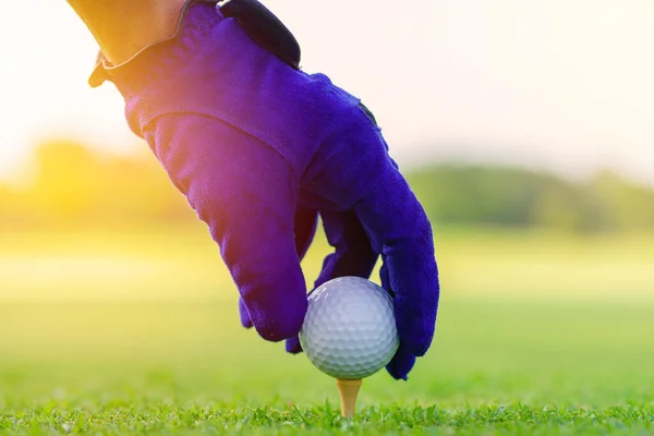 Hand Golfer Hold Golf Labda Tee Készen Áll Hogy Lövés — Stock Fotó