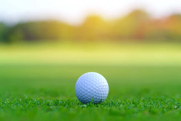 Golfbal Groen Gras Klaar Worden Geslagen Golfbaan Stockfoto