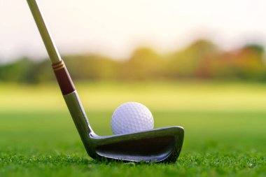 Golf topu yeşil çimlerde Golf sahasında vurmaya hazır.