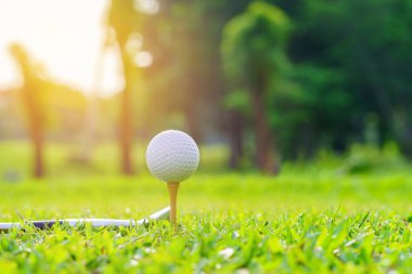 Golf topu yeşil çimlerde Golf sahasında vurmaya hazır.
