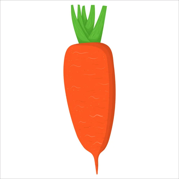 Карикатурная иллюстрация с цветным корнем моркови. Продукция фермерского рынка. Векторный рисунок. — стоковый вектор