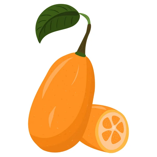 Cartoon illustration with colorful kumquat. Farm market product. — Vetor de Stock