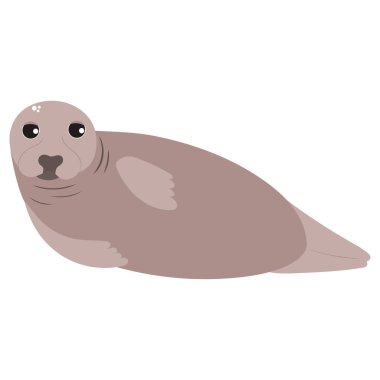 Renkli deniz hayvanlarının iz tasarımı için beyaz arkaplanı mühürlediği güzel bir karikatür çizimi. Çocuk grafiği.