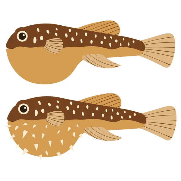 Parmak izi tasarımı için beyaz zemin üzerinde renkli deniz hayvanları kirpi balığı olan güzel bir karikatür çizimi. Çocuk grafiği. — Stok Vektör