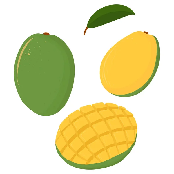 Εικονογράφηση κινουμένων σχεδίων με πολύχρωμο σύνολο μάνγκο. Προϊόν γεωργικής αγοράς. — Διανυσματικό Αρχείο